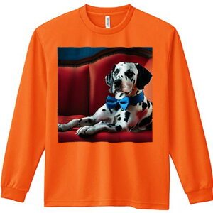 TVc lԗp Y Ht vg W[ AEghA JWA 킢 t@ \t@ _VA lN^C  