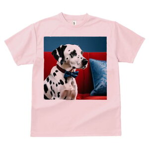 TVc Y LbY t@  t  vg JWA 킢 lԗp tBbglX _X Ԃ\t@ _VA NbV lN^C wi