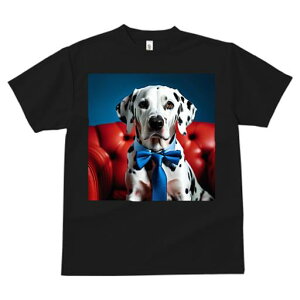 TVc Y LbY t@  t  vg JWA 킢 lԗp tBbglX _X Ԃ\t@[ _VA lN^C