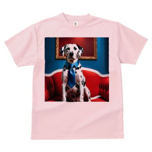 TVc Y LbY t@  t  vg JWA 킢 lԗp tBbglX _X Ԃ\t@ _VA lN^C G