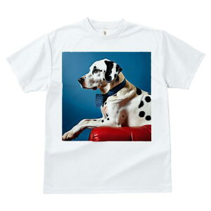 TVc Y LbY t@  t  vg JWA 킢 lԗp tBbglX _X wi _VA Ԃ\t@ lN^C