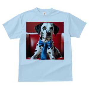 TVc Y LbY t@  t  vg JWA 킢 lԗp tBbglX _X Ԃ\t@ _VA lN^C