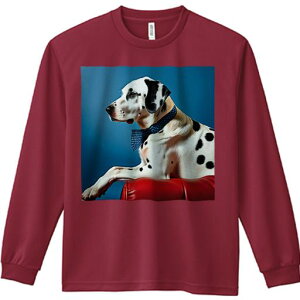 TVc lԗp Y Ht vg W[ AEghA JWA 킢 t@ wi _VA Ԃ\t@ lN^C