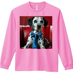 TVc lԗp Y Ht vg W[ AEghA JWA 킢 t@ Ԃ\t@ _VA lN^C