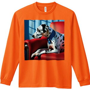 TVc lԗp Y Ht vg W[ AEghA JWA 킢 t@ Ԃ\t@ _VA lN^C  