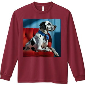 TVc lԗp Y Ht vg W[ AEghA JWA 킢 t@ Ԃ\t@ _VA wi lN^C