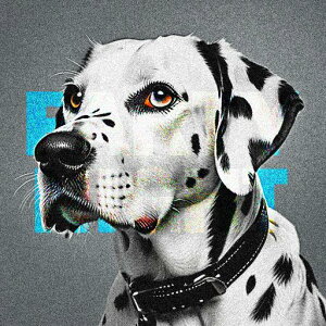 Ӑ[ _VA  ʖ͗l̖є NbVJo[ 45×45cm Aj}   NbV{̕t ` t@