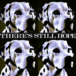 |X^[ _VA bZ[W A[g hbg ] NbVJo[ 45×45cm Aj}   NbV{̕t ` t@