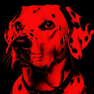  _VA  _X  NbVJo[ 45×45cm Aj}   NbV{̕t ` t@