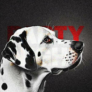 mN _VA nCRgXg g A[g |X^[ NbVJo[ 45×45cm Aj}   NbV{̕t ` t@