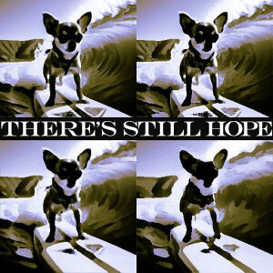 T[t{[h ` g r[` ] |WeBu NbVJo[ 45×45cm Aj}   NbV{̕t ` t@