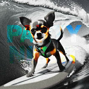 T[tB ` Kl g NbVJo[ 45×45cm Aj}   NbV{̕t ` t@