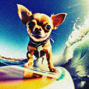 T[t{[h ` g C NbVJo[ 45×45cm Aj}   NbV{̕t ` t@