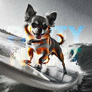 �T�[�t�B�� �`���� �g �C �y���� �p�[�e�B�[ �N�b�V�����J�o�[ 45×45cm �A�j�}���� ������� ���� �N�b�V�����{�̕t�� �����` ���t�@��