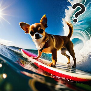 T[tB ` g  z T[t{[h NbVJo[ 45×45cm Aj}   NbV{̕t ` t@