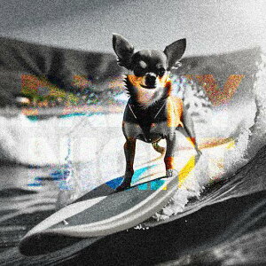 T[t{[h ` C T[tB NbVJo[ 45×45cm Aj}   NbV{̕t ` t@