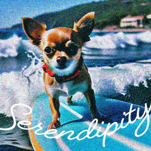 T[t{[h ` g C NbVJo[ 45×45cm Aj}   NbV{̕t ` t@