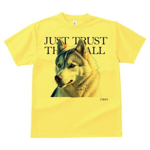 T�V���c �����Y �L�b�Y ���t�@�� ���� �t�� ���� �v�����g �J�W���A�� ���킢�� �l�ԗp �t�B�b�g�l�X �_���X �� �V�x���A���n�X�L�[ ��^�� JUST TRUST