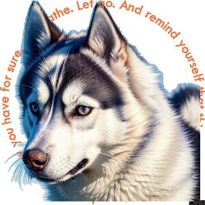  VxAnXL[ 傫 ӂӂ̖ ybg NbVJo[ 45×45cm Aj}   NbV{̕t ` t@