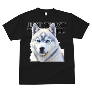 T�V���c �����Y �L�b�Y ���t�@�� ���� �t�� ���� �v�����g �J�W���A�� ���킢�� �l�ԗp �t�B�b�g�l�X �_���X JUST �V�x���A���n�X�L�[ TRUST �e�L�X�g