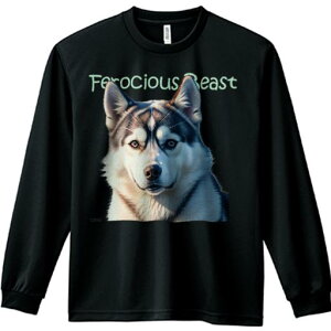 TVc lԗp Y Ht vg W[ AEghA JWA 킢 t@ ƂĂ킢 VxAnXL[ u₩ ~  ƍ̖є