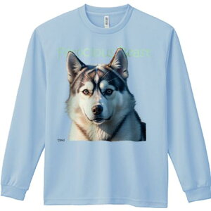 TVc lԗp Y Ht vg W[ AEghA JWA 킢 t@ ƂĂ킢 VxAnXL[ u₩ ~  ƍ̖є