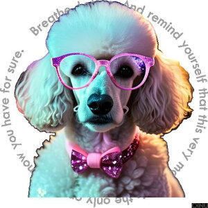 Kl v[h lN^C NbVJo[ 45×45cm Aj}   NbV{̕t ` t@