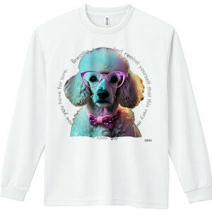 TVc lԗp Y Ht vg W[ AEghA JWA 킢 t@ Kl v[h lN^C