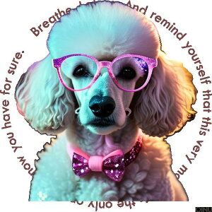 Kl v[h lN^C LL NbVJo[ 45×45cm Aj}   NbV{̕t ` t@