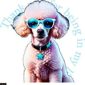 サングラス プードル 星の首輪 クッションカバー 45×45cm アニマル柄 おしゃれ 可愛い クッション本体付き 正方形 犬ファン