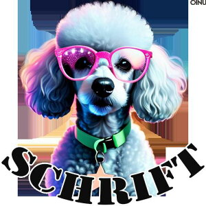 Kl v[h FN₩ t@bV NbVJo[ 45×45cm Aj}   NbV{̕t ` t@