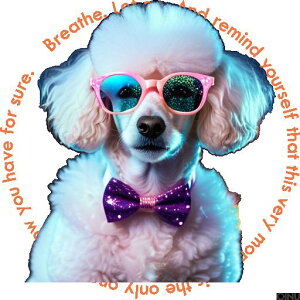 TOX v[h lN^C  t@bV N[ NbVJo[ 45×45cm Aj}  NbV{̕t ` t@