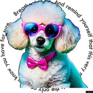 TOX v[h lN^C NbVJo[ 45×45cm Aj}   NbV{̕t ` t@