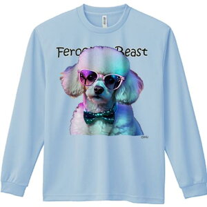 TVc lԗp Y Ht vg W[ AEghA JWA 킢 t@ TOX v[h lN^C