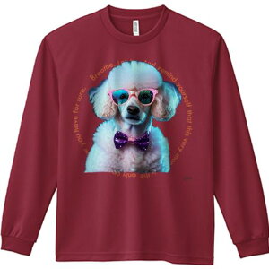 TVc lԗp Y Ht vg W[ AEghA JWA 킢 t@ TOX v[h lN^C  t@bV N[