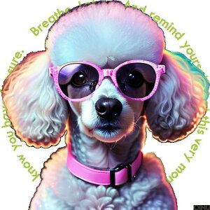 TOX v[h sN̎ t@bV NbVJo[ 45×45cm Aj}   NbV{̕t ` t@