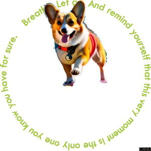 Ί R[M[ y  Jt ̕ NbVJo[ 45×45cm Aj}  NbV{̕t ` t@