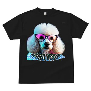 TVc Y LbY t@  t  vg JWA 킢 lԗp tBbglX _X Kl v[h hȊዾ X^C t@bV Jt