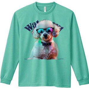 TVc lԗp Y Ht vg W[ AEghA JWA 킢 t@ Kl gCv[h lI Jt  t@bV