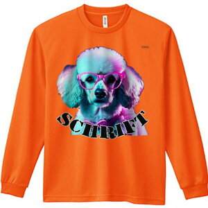 TVc lԗp Y Ht vg W[ AEghA JWA 킢 t@ Kl v[h Jt 