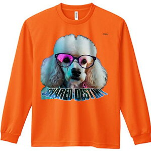 TVc lԗp Y Ht vg W[ AEghA JWA 킢 t@ Kl v[h hȊዾ X^C t@bV Jt