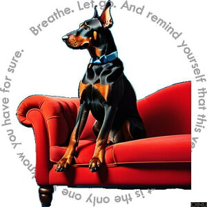 Ԃ\t@ h[x} NbVJo[ 45×45cm Aj}   NbV{̕t ` t@