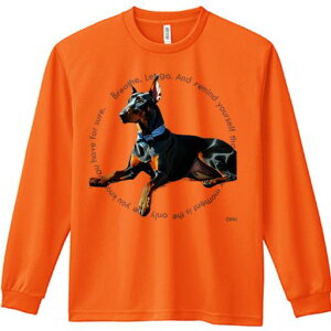 TVc lԗp Y Ht vg W[ AEghA JWA 킢 t@ lN^C h[x} p̃bZ[W p