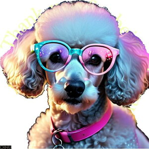 Kl v[h Jt  NbVJo[ 45×45cm Aj}   NbV{̕t ` t@