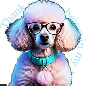 ዾ v[h  NbVJo[ 45×45cm Aj}   NbV{̕t ` t@