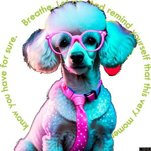 Kl v[h lN^C NbVJo[ 45×45cm Aj}   NbV{̕t ` t@