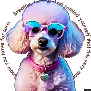 ߂ v[h n[g̎ NbVJo[ 45×45cm Aj}   NbV{̕t ` t@