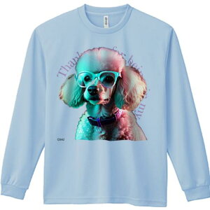 TVc lԗp Y Ht vg W[ AEghA JWA 킢 t@ Kl v[h J[ Jt