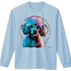 TVc lԗp Y Ht vg W[ AEghA JWA 킢 t@ Kl v[h Jt  |bvA[g