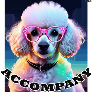 Kl v[h Jt L[g t@bV NbVJo[ 45×45cm Aj}   NbV{̕t ` t@